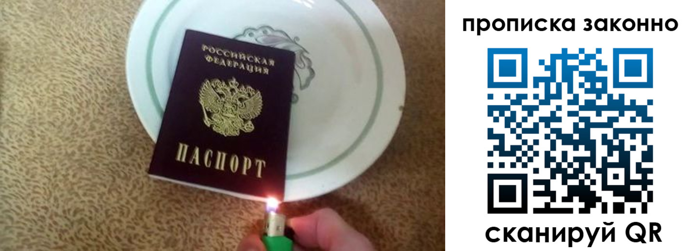 прописка поиск в Вязьме