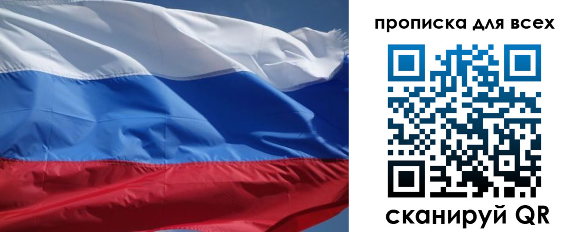 прописка гарантия в Вязьме